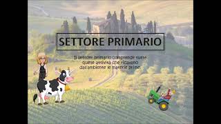 I settori delleconomia [upl. by Dranyer]