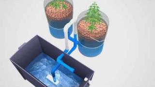 Super Simple Ebb amp Flow Hydroponics System [upl. by Elyagiba]