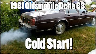 1981 Oldsmobile Delta 88 Cold Start [upl. by Adnol]