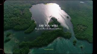 Kygo  Say You Will w Patrick Droney amp Petey Official Audio [upl. by Nitsruk]