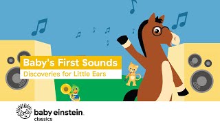 Babys First Sounds Discoveries for Little Ears  Baby Einstein [upl. by Binky]