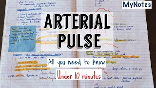 Arterial pulse  ridiculously easy  MyNotes [upl. by Anyalram]