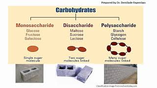 Chapter 21 Biological Molecules  Carbohydrates [upl. by Lambard]