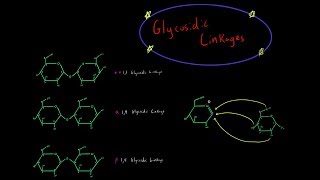 How Glycosidic Linkages are Formed Organic Chemistry Mechanism Carbohydrate Biochemistry MCAT [upl. by Betteanne528]