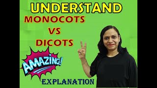 Monocots Vs Dicots  Amazing Explanation [upl. by Adnima962]