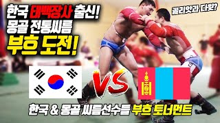 한국전통 씨름 vs 몽골씨름 이번엔 전통몽골씨름 부흐로 붙는다부산갈매기씨름단amp몽골씨름단 친선교류전Korean wrestler vs Mongol wrestler fight [upl. by Siram]