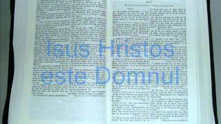 8  RUT  Vechiul Testament  Biblia Audio Romana [upl. by Almira284]