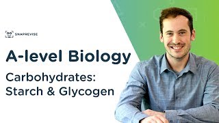 Carbohydrates Starch and Glycogen  Alevel Biology  OCR AQA Edexcel [upl. by Nerraj831]