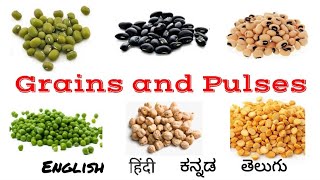 Grains and Pulses names in English Hindi Kannada Telugu  Grains name  Pulses name  Millets [upl. by Nauhs]