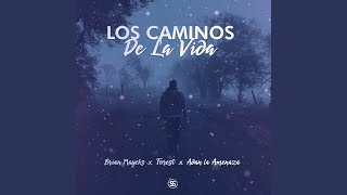 Los Caminos de la Vida [upl. by Wise]