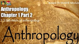 Anthropology Chapter 1  Part 2   Subfields of anthropology [upl. by Nickerson753]