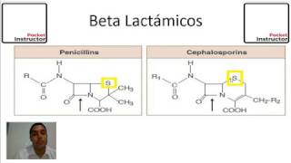 Como funciona la penicilina Pocket Instructor [upl. by Amein557]