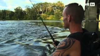 Pêche du silure sur la Garonne  Globe Fishing  LotetGaronne 55 [upl. by Bernat]