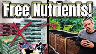 Stop Buying Compost Build This Bin Instead [upl. by Winer]