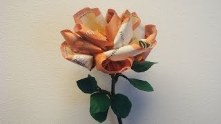 Geld falten ❁ Geldgeschenk basteln ❁ Deko Ideen mit FloraShop [upl. by Khosrow209]