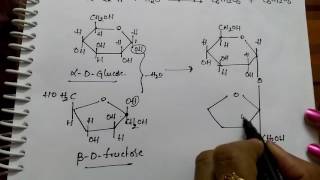 Disachharides Sucrose Maltose and Lactose Chemistry [upl. by Mercuri]