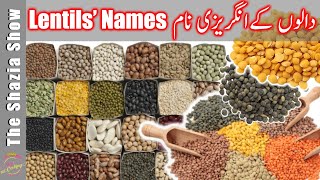 Dal Names  दाल के नाम  Pulses Name in English  Pakistani Lentils in Kitchen دالوں کے نام [upl. by Zerimar]