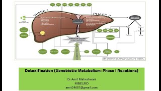 Xenobiotic Metabolism  Detoxification  Phase I Reactions  Biochemistry  Part 01 [upl. by Langan]