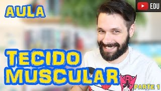 Tecido Muscular  Aula Parte I  Histologia  Prof Samuel Cunha [upl. by Nnaasil]