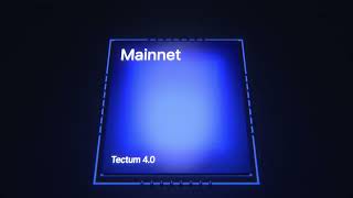 TECTUM 40 MAINNET IS LIVE [upl. by Eseuqram]