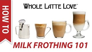 Milk Frothing for Beginners [upl. by Eenahs]