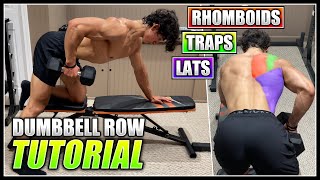 How to do the SINGLE ARM DUMBBELL ROW  2 Minute Tutorial [upl. by Ellehcan665]