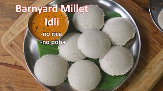 Barnyard Millet Idli Recipe  Soft Millet Idli Without Rice and Poha  Diabetic Friendly Recipe [upl. by Ynez286]