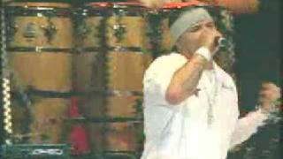 Kumbia Kings Live Performance [upl. by Terrej513]