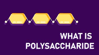 What are polysaccharides [upl. by Animaj]