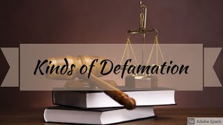 Kinds of Defamation  Defamation  Tort Law  Easy way  in Hindi [upl. by Atiana788]