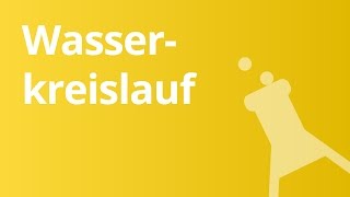 Der Wasserkreislauf  eine Erklärung  Chemie [upl. by Yecart]