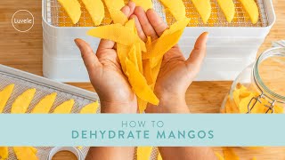 How to Dehydrate Mango  Luvele Breeze Dehydrator [upl. by Namzed]