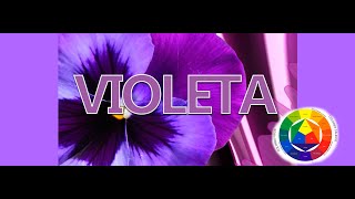 Como saco el Color Morado o Violeta [upl. by Terence]