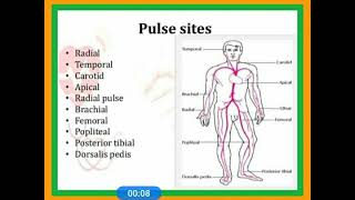 Pulse Sites [upl. by Ozen]