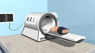 SeeThru Science How MRI Machines Work [upl. by Nevets275]