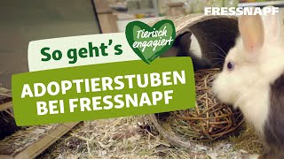 Ein Haustier aus dem Tierheim adoptieren Mit der Fressnapf Adoptierstube [upl. by Attenej]