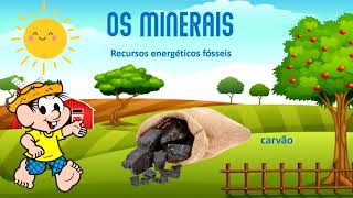 Os Minerais [upl. by Akemhs787]