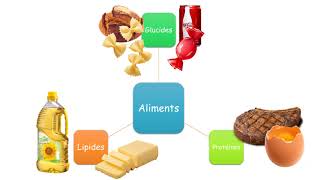 5ème – Alimentation et énergie [upl. by Nellda360]