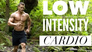 The Effect of Low Intensity Steady State Cardio [upl. by Aciretehs]