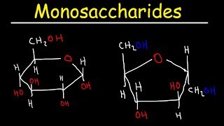 Monosaccharides  Glucose Fructose Galactose amp Ribose  Carbohydrates [upl. by Papagena467]