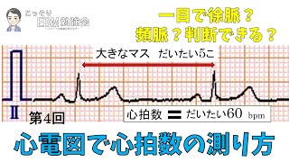 【心電図】第4回 分かる！心電図で心拍数の測り方 [upl. by Sakovich538]