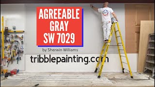 Agreeable Gray SW 7029 by Sherwin Williams [upl. by Darren]