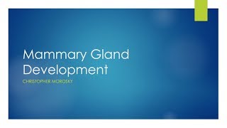 Mammary Gland Development [upl. by Yentnuoc]