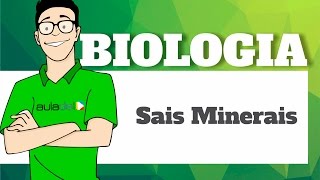 Biologia  Bioquímica Sais Minerais [upl. by Sanborn]