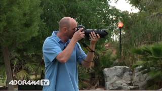 Digital Photography 1 on 1 Episode 15 Panning [upl. by Aikemal277]