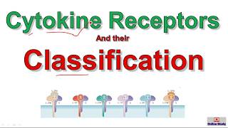 Cytokine receptors and their classification [upl. by Erkan444]