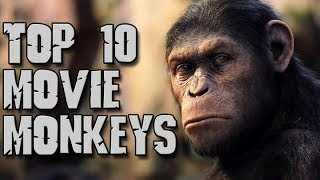 Dark Corners Top Ten Movie Monkeys [upl. by Edia]