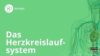 Das Herzkreislaufsystem So funktionierts – Biologie  Duden Learnattack [upl. by Virginie275]