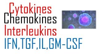 Chemokines and cytokines immunology [upl. by Morna]