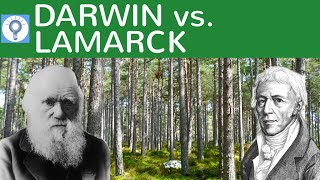 Darwin vs Lamarck  Evolutionstheorie von Lamarck und Darwin im Vergleich  Evolution 8 [upl. by Bealle]